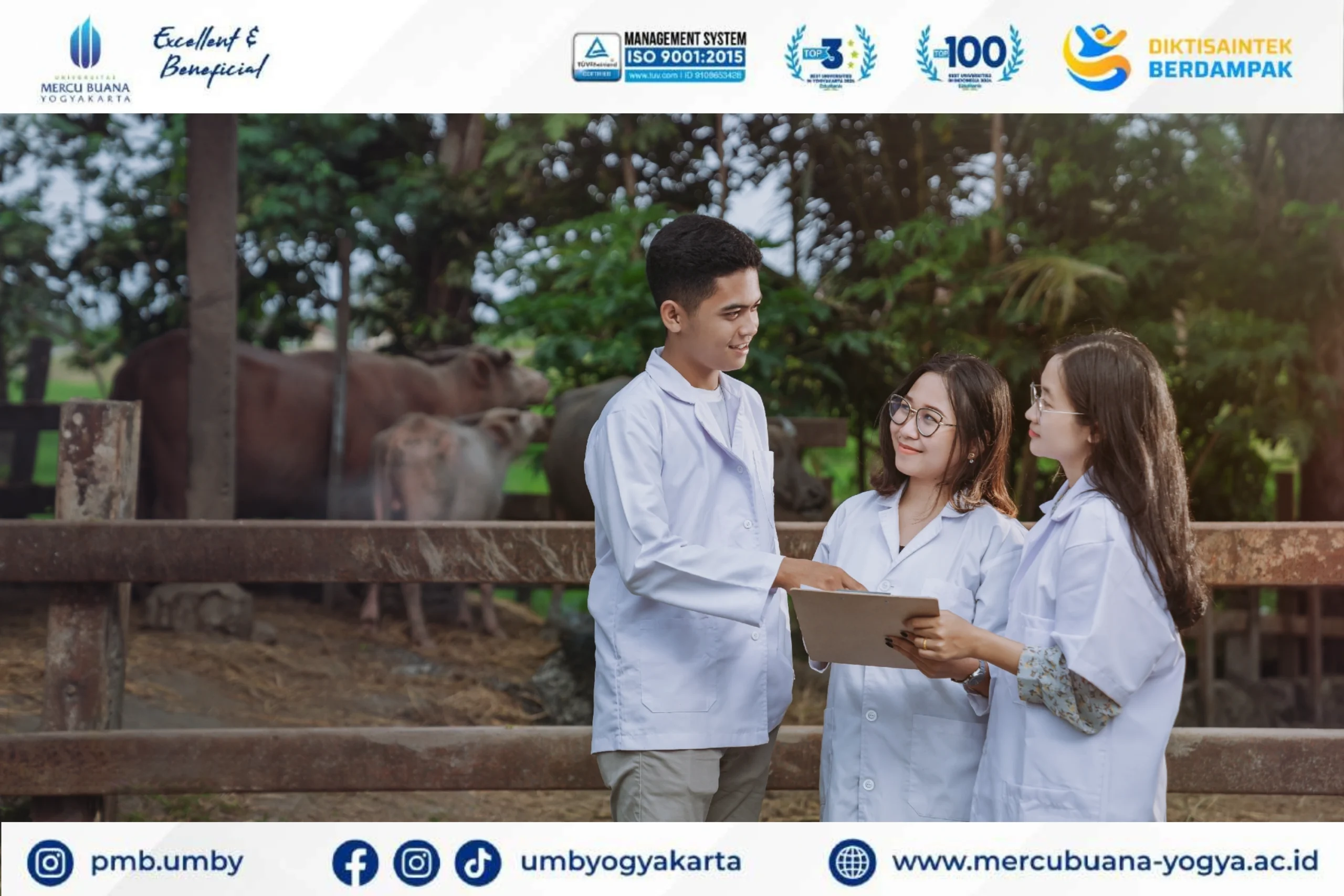 Cari Jurusan Peternakan Terbaik di Jogja?Peternakan UMBY berakreditasi Unggul! Fokus pada bisnis ternak modern, nutrisi,teaching farm lengkap