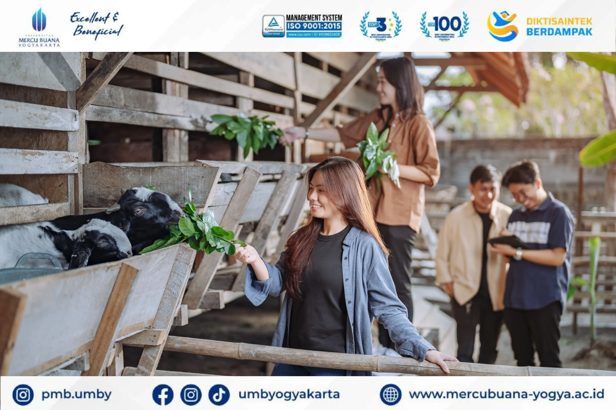 Kuliah Peternakan Terbaik di Banjarnegara. Universitas Mercu Buana Yogyakarta (UMBY). Biaya terjangkau, fasilitas, beasiswa dan karier!