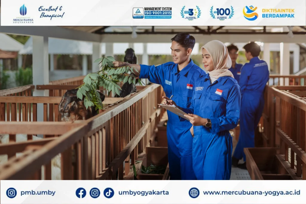Kuliah Peternakan terbaik di Magelang - Universitas Mercu Buana Yogyakarta (UMBY). Fasilitas modern, biaya kuliah terjangkau & beasiswa!